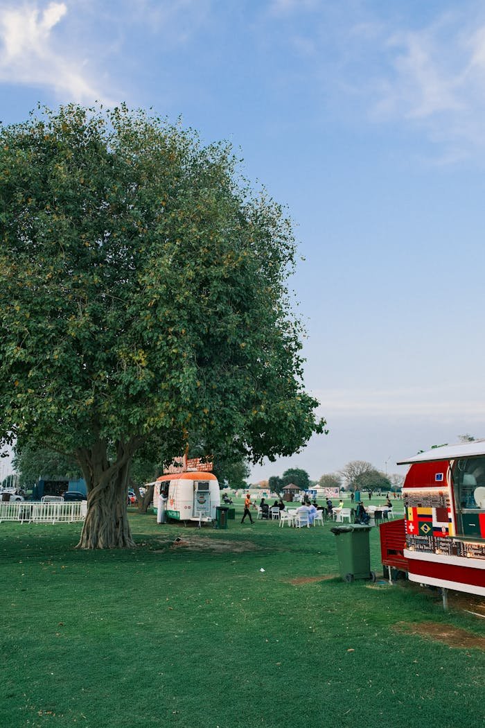 Vibrant summer festival scene with food trucks, trees, and blue skies.